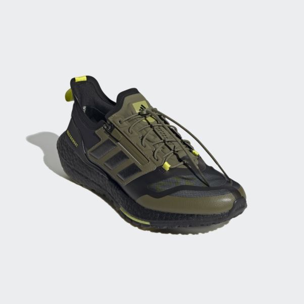 Chaussures Ultraboost 21 Gore-tex Olive Adidas
