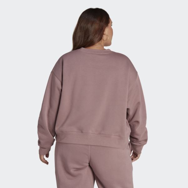 Sweat Adidas Violet Adicolor Essentials Crew (grande Taille)