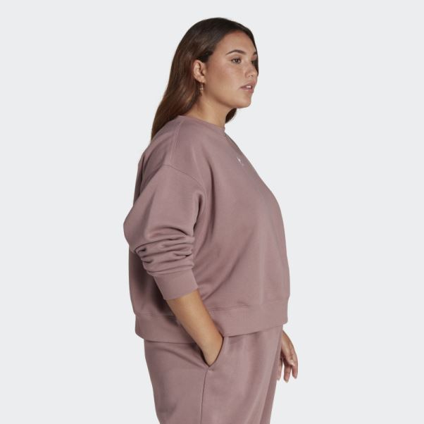 Sweat Adidas Violet Adicolor Essentials Crew (grande Taille)