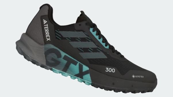 Chaussures De Course Sur Sentier Adidas Terrex Agravic Flow 2.0 Gore-tex Gris Dash