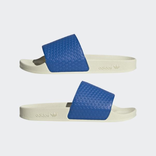 Adidas Adilette Glisse Oiseau Bleu