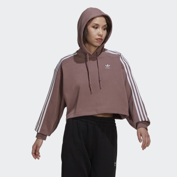 Sweat à Capuche Court Adidas Adicolor Classics Violet