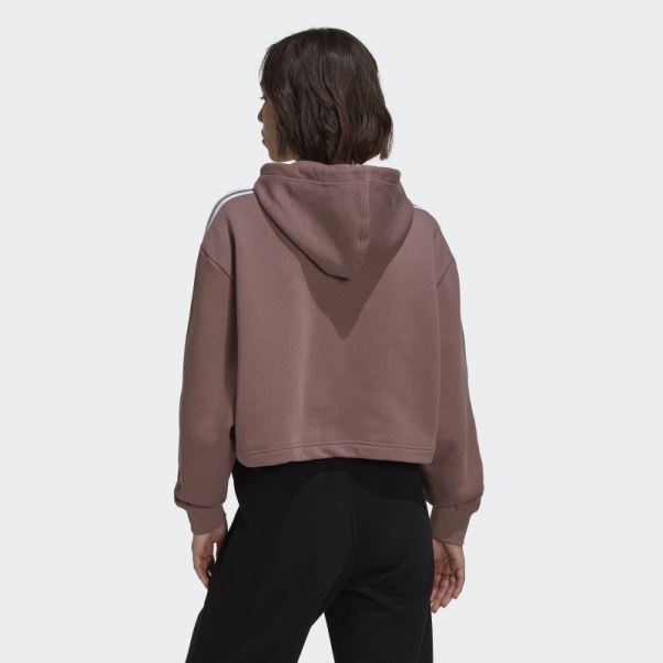Sweat à Capuche Court Adidas Adicolor Classics Violet