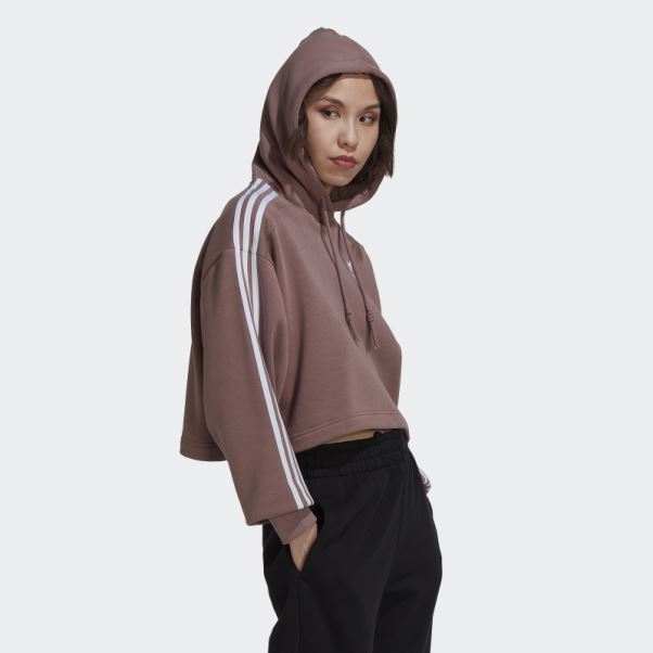 Sweat à Capuche Court Adidas Adicolor Classics Violet
