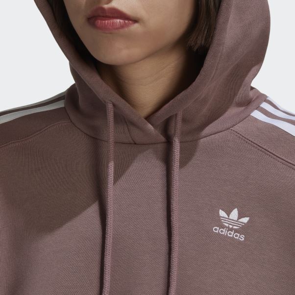 Sweat à Capuche Court Adidas Adicolor Classics Violet