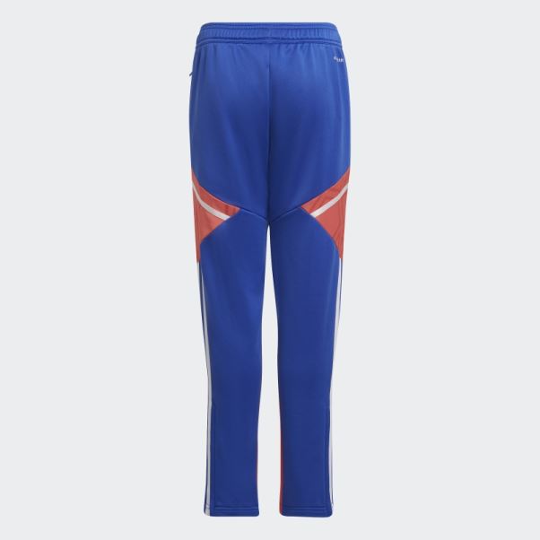 Pantalon De Survêtement Adidas Condivo 22 Prédateur Bleu Haute Résolution
