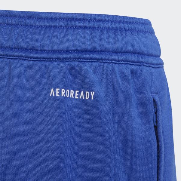 Pantalon De Survêtement Adidas Condivo 22 Prédateur Bleu Haute Résolution