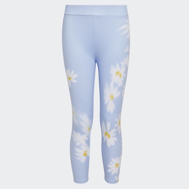 Bleu Aube Adidas 7 8 Marguerite Flou Serré