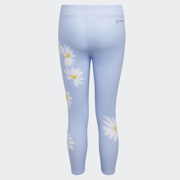 Bleu Aube Adidas 7 8 Marguerite Flou Serré