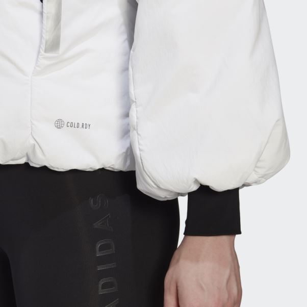 Veste Adidas Terrex Myshelter Cold.rdy Blanche