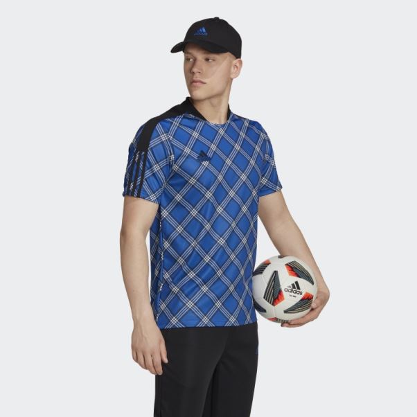 Maillot Tiro Bleu Royal Adidas