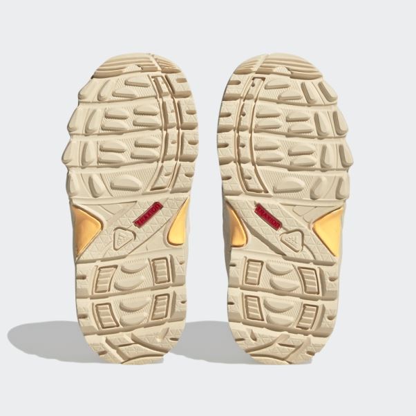 Adidas Terrex Mid Gtx Chaussures Corail