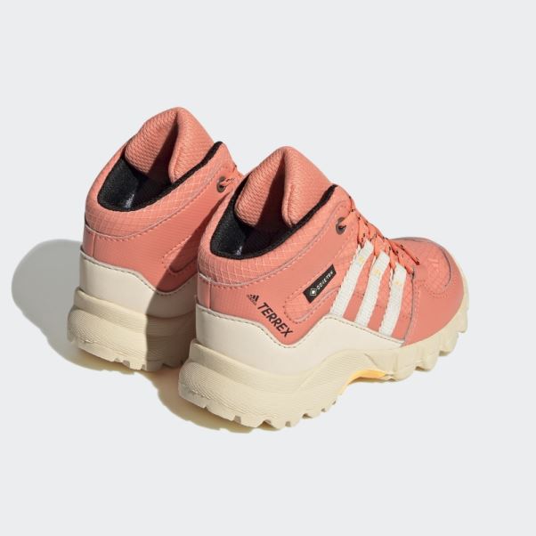 Adidas Terrex Mid Gtx Chaussures Corail