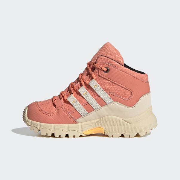 Adidas Terrex Mid Gtx Chaussures Corail