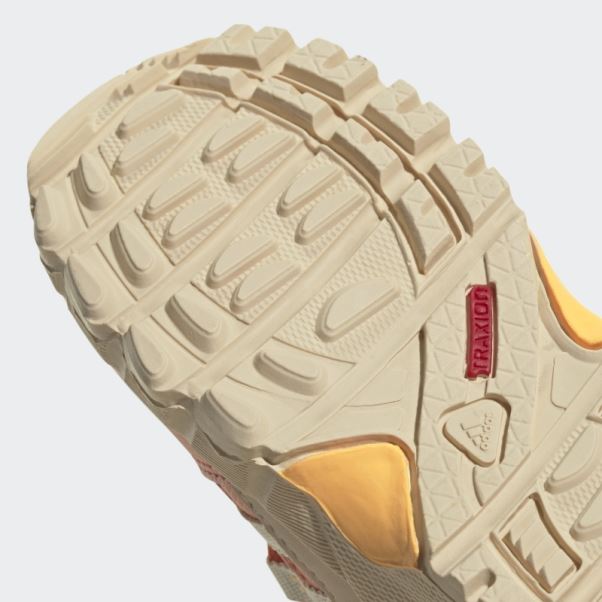 Adidas Terrex Mid Gtx Chaussures Corail