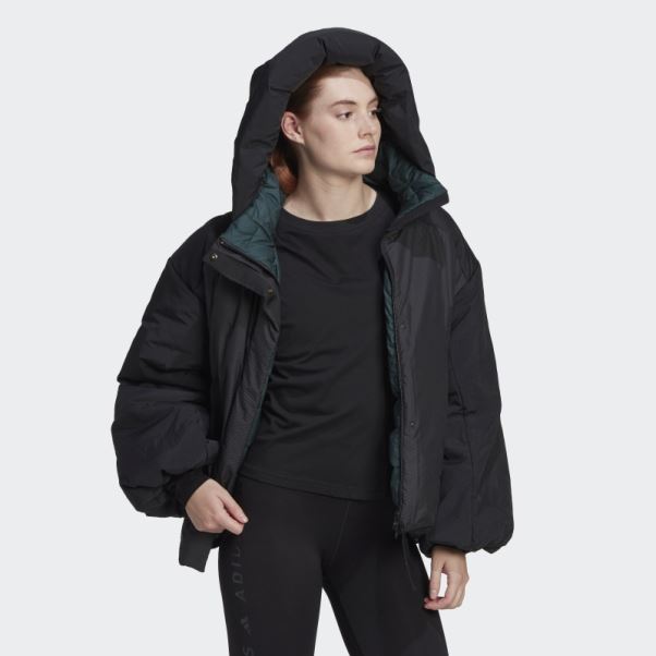 Veste Adidas Terrex Myshelter Cold.rdy Noire