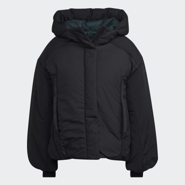 Veste Adidas Terrex Myshelter Cold.rdy Noire