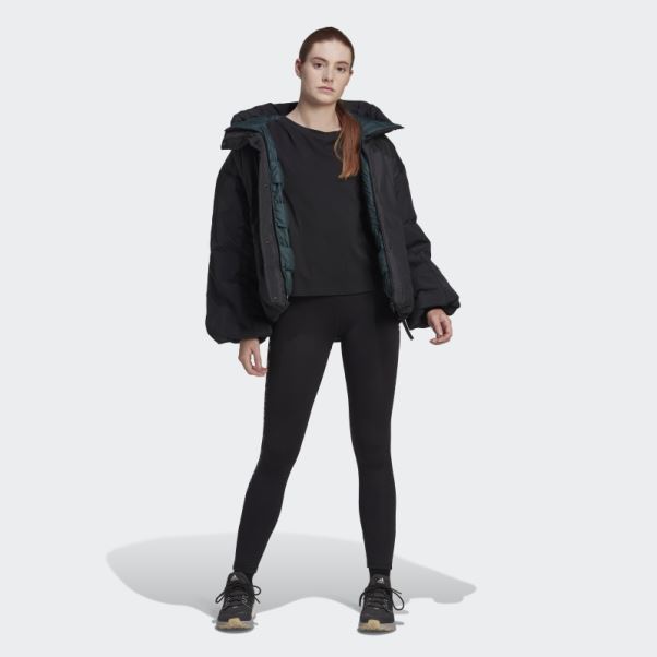 Veste Adidas Terrex Myshelter Cold.rdy Noire