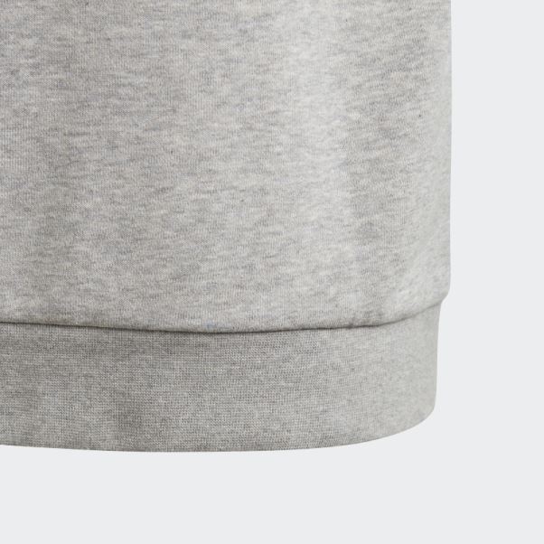 Sweat à Capuche Trèfle Adidas Gris Moyen