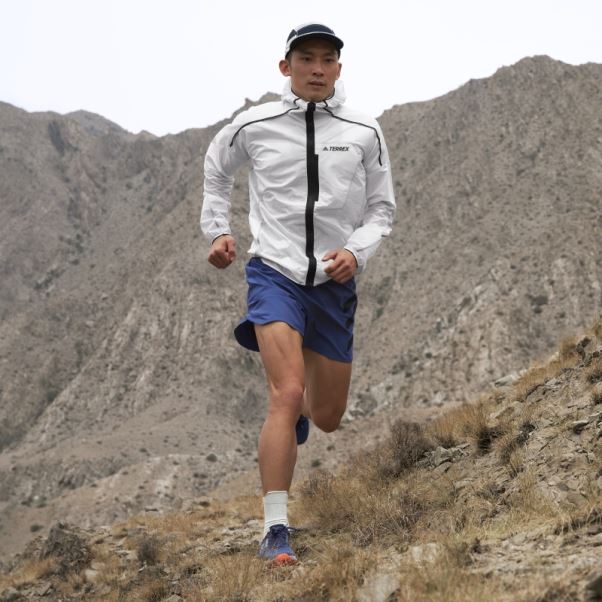 Adidas Terrex Agravic Flow 2 Chaussures De Course Sur Sentier Gris
