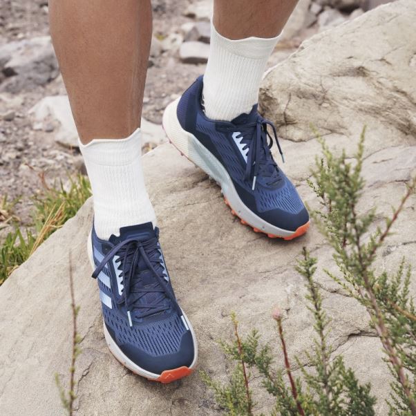 Adidas Terrex Agravic Flow 2 Chaussures De Course Sur Sentier Gris