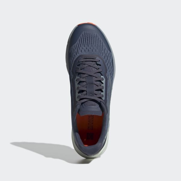 Adidas Terrex Agravic Flow 2 Chaussures De Course Sur Sentier Gris