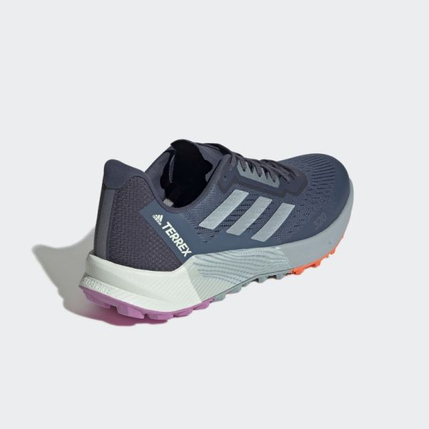 Adidas Terrex Agravic Flow 2 Chaussures De Course Sur Sentier Gris