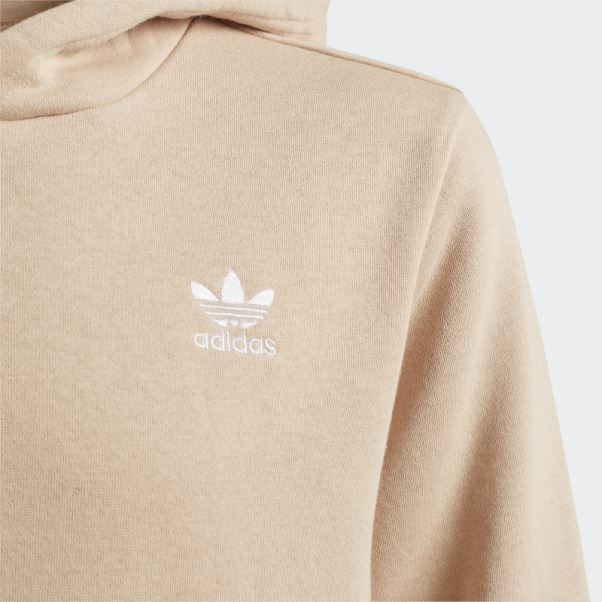 Sweat à Capuche Adidas Adicolor Beige