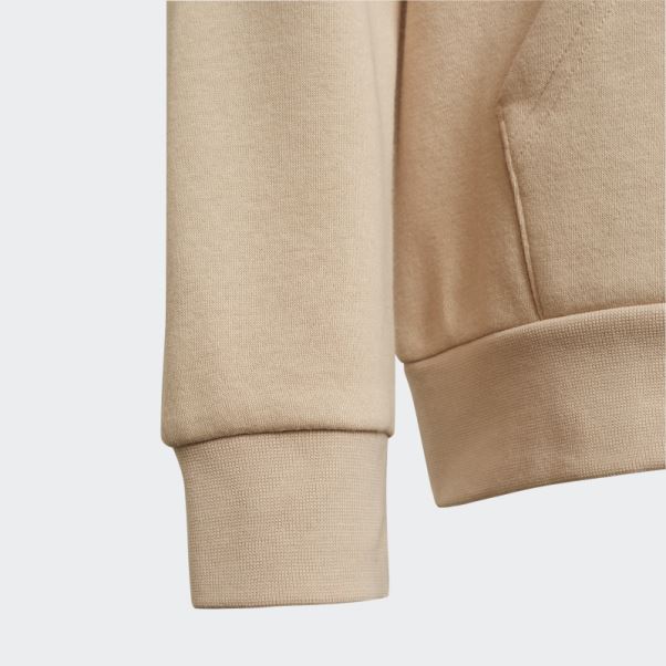 Sweat à Capuche Adidas Adicolor Beige