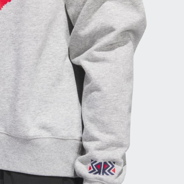 Sweat Ras Du Cou Vintage Panthers Gris Moyen Adidas