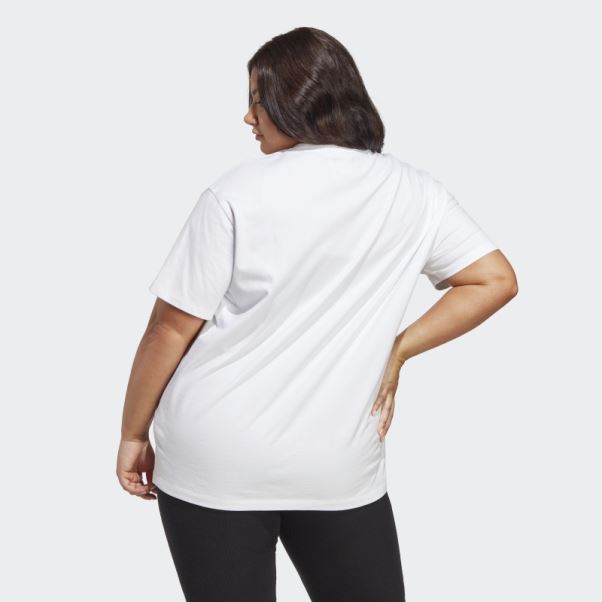 Tee Shirt Adicolor Essentials (taille Plus) Adidas Blanc