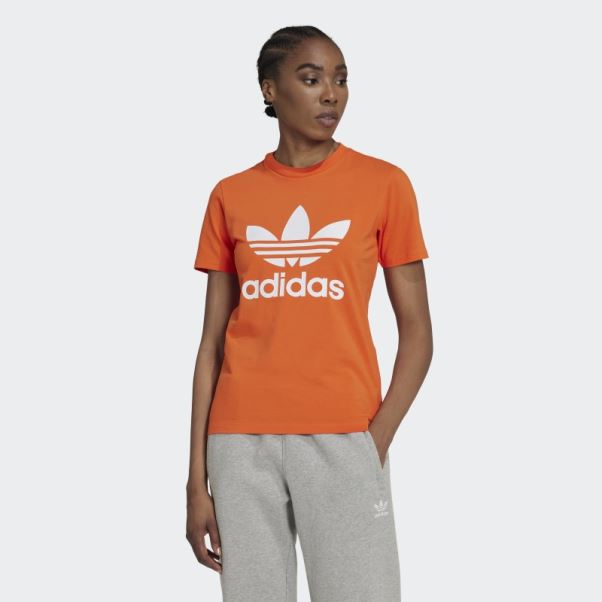 Tee Shirt Trèfle Adidas Adicolor Classics Orange
