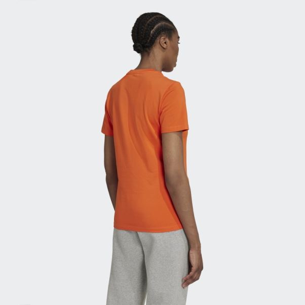 Tee Shirt Trèfle Adidas Adicolor Classics Orange