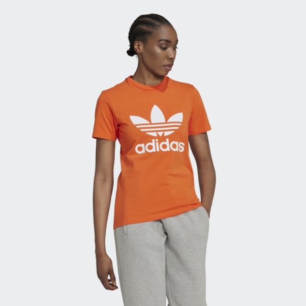 Tee Shirt Trèfle Adidas Adicolor Classics Orange