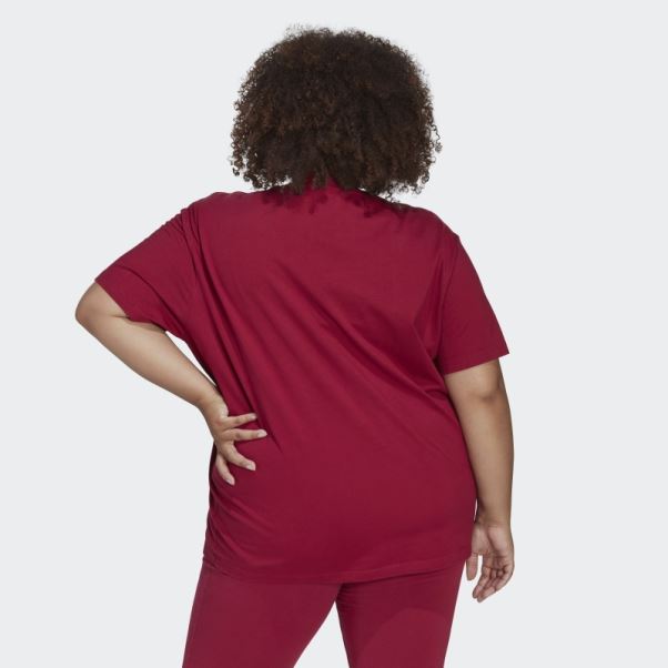 T-shirt Adidas (grande Taille) Bordeaux