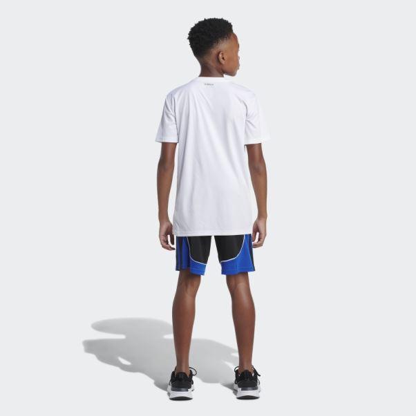 Short Créateur Noir Bleu Adidas