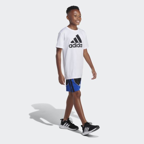 Short Créateur Noir Bleu Adidas