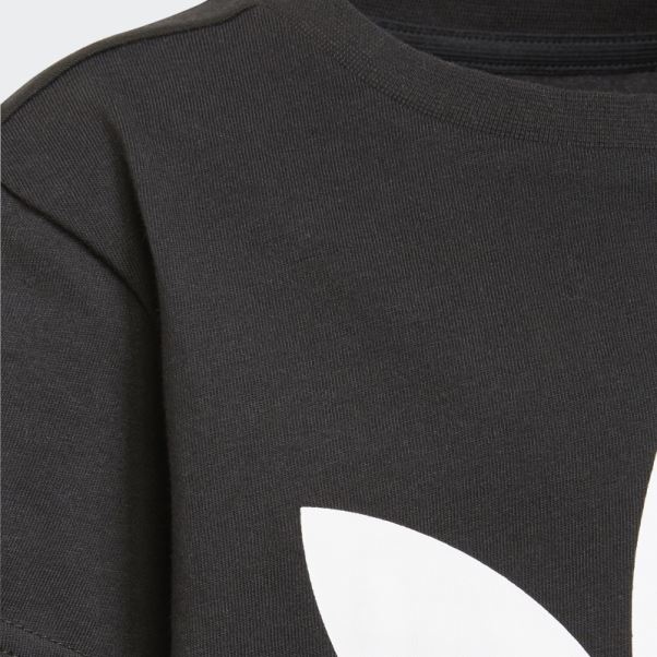 Tee Shirt Adidas Adicolor Trefoil Blanc
