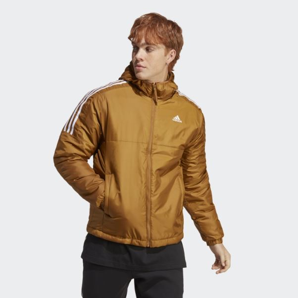 Veste à Capuche Isolée Essentials Adidas Bronze