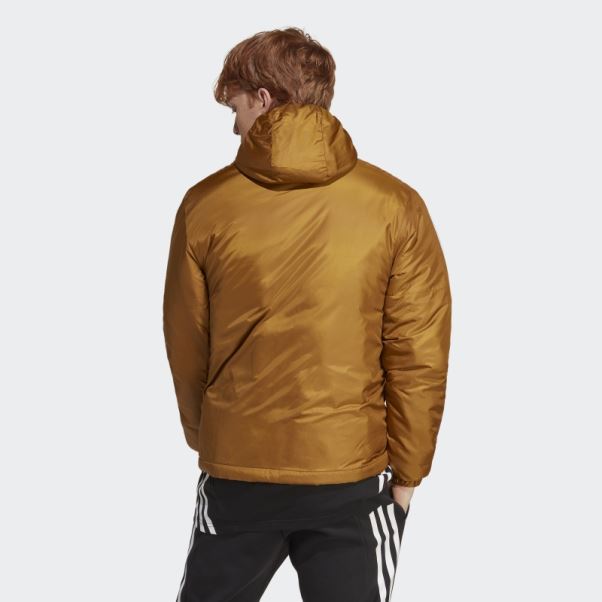 Veste à Capuche Isolée Essentials Adidas Bronze