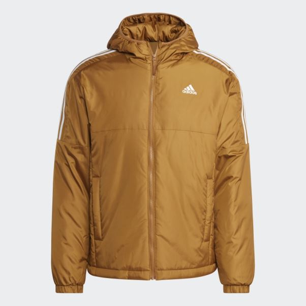 Veste à Capuche Isolée Essentials Adidas Bronze