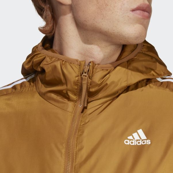 Veste à Capuche Isolée Essentials Adidas Bronze