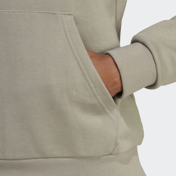 Sweat à Capuche Gris Adidas Graphics Off The Grid