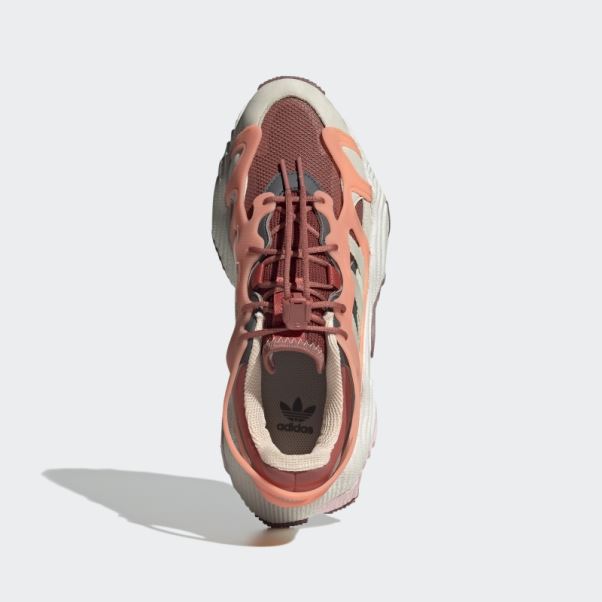 Adidas Terre Roverend Chaussures D'aventure