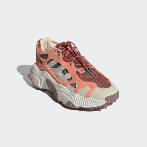 Adidas Terre Roverend Chaussures D'aventure