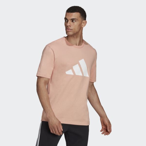 Blush Ambiant Adidas Future Icons Logo Graphique T-shirt Chaud