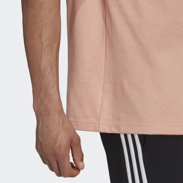 Blush Ambiant Adidas Future Icons Logo Graphique T-shirt Chaud