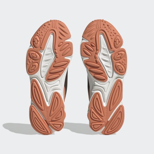 Chaussures Ozweego Celox Marron Adidas