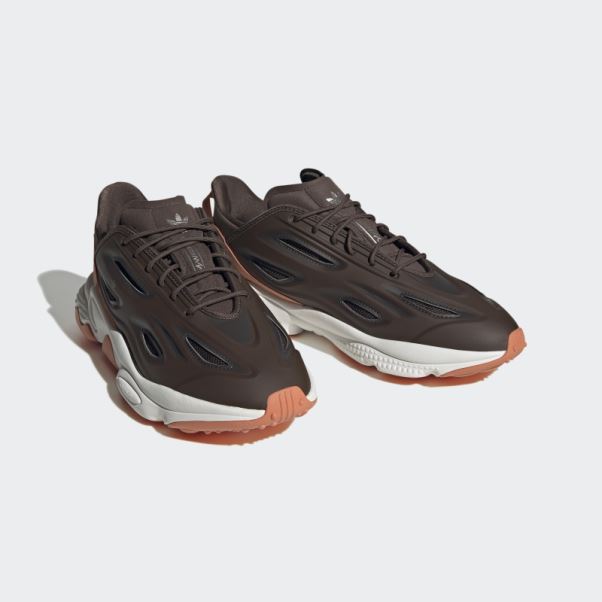 Chaussures Ozweego Celox Marron Adidas