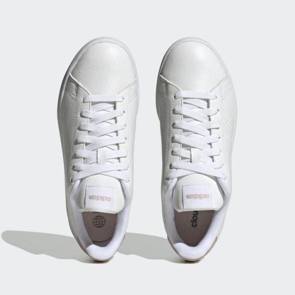 Chaussures Adidas Avantage Taupe